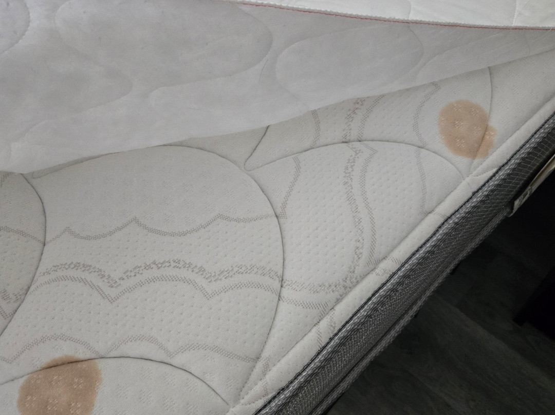 Quality Inn Williamston主图