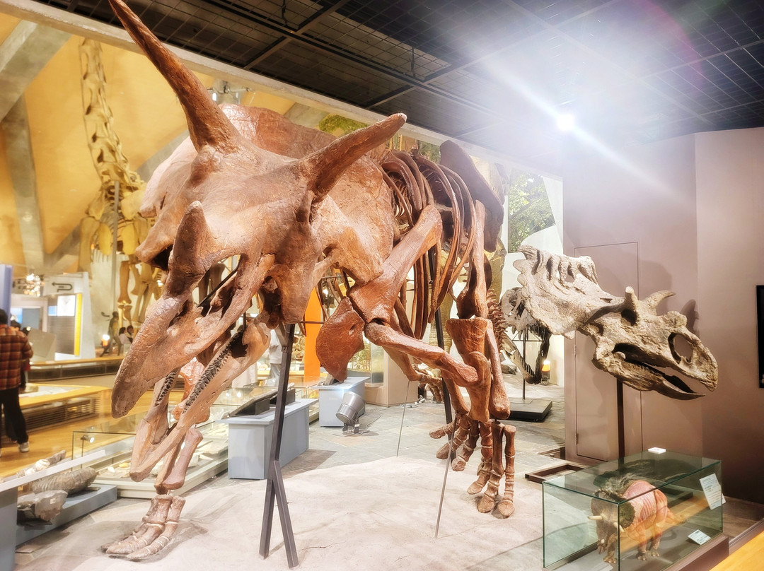 Gunma Natural Museum-富冈市必去景点