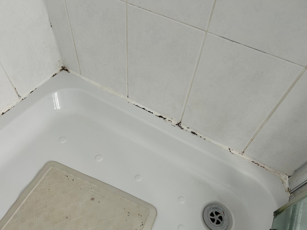 The South Beach Hotel主图