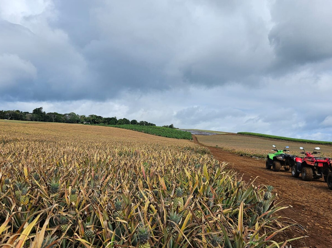 Quad Activities Constance Flacq-Centre de Flacq必去景点