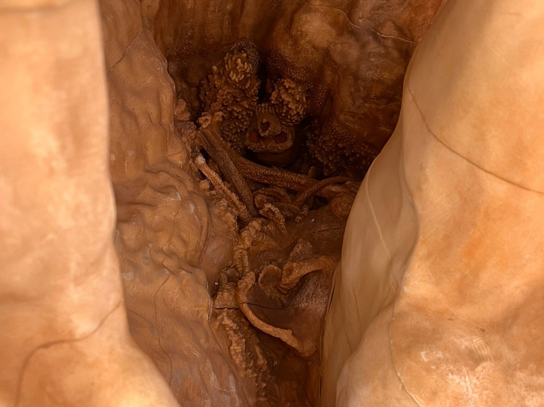 Palazzo Baldassarre-阿尔塔穆拉必去景点