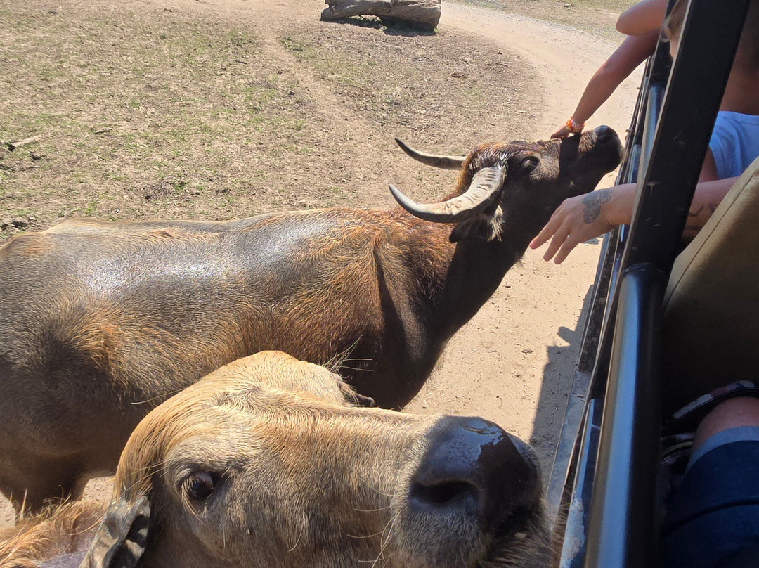 The Wild Animal Park-Chittenango必去景点