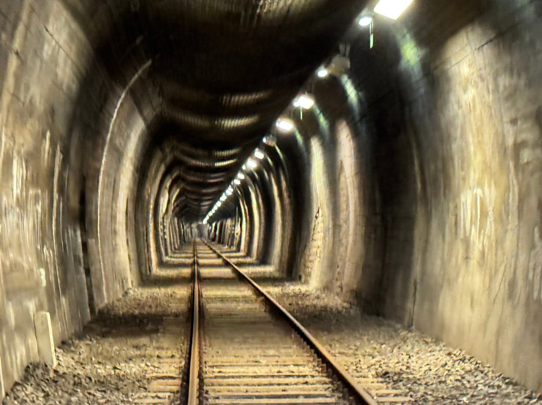 Ueberwaldbahn-Wald-Michelbach必去景点