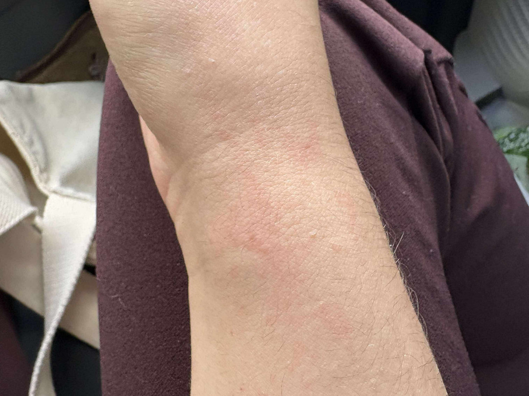 十二乐酒店主图