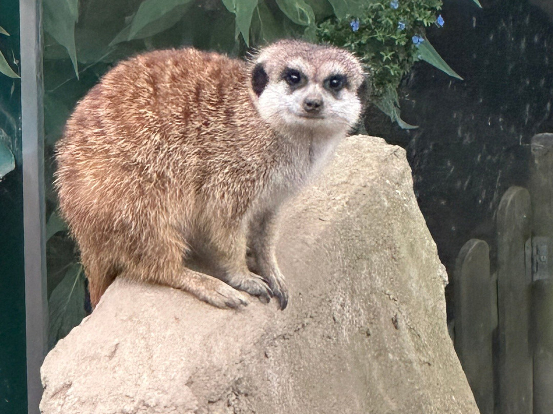 Zoologico El Bosque-奥维耶多必去景点