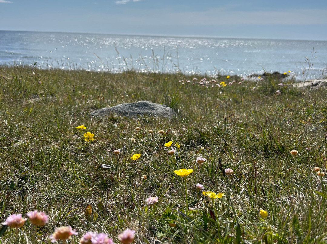 Hvalnes Lighthouse-Hornafjorour必去景点