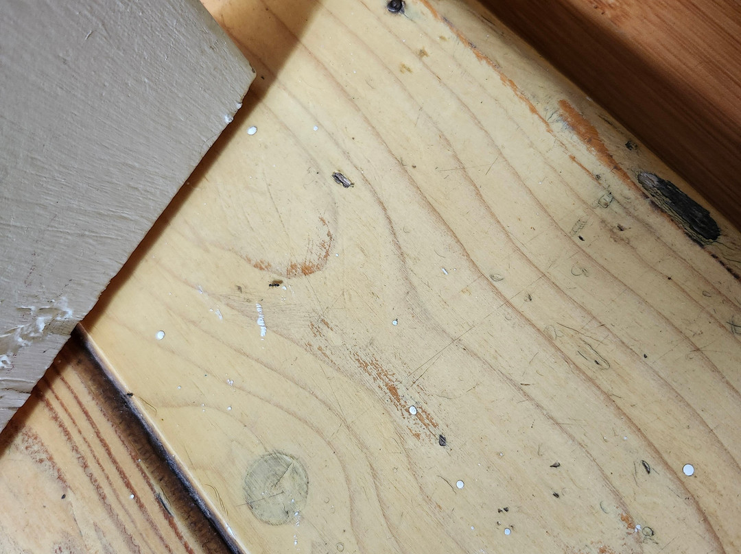 Laughing Lizard Inn主图