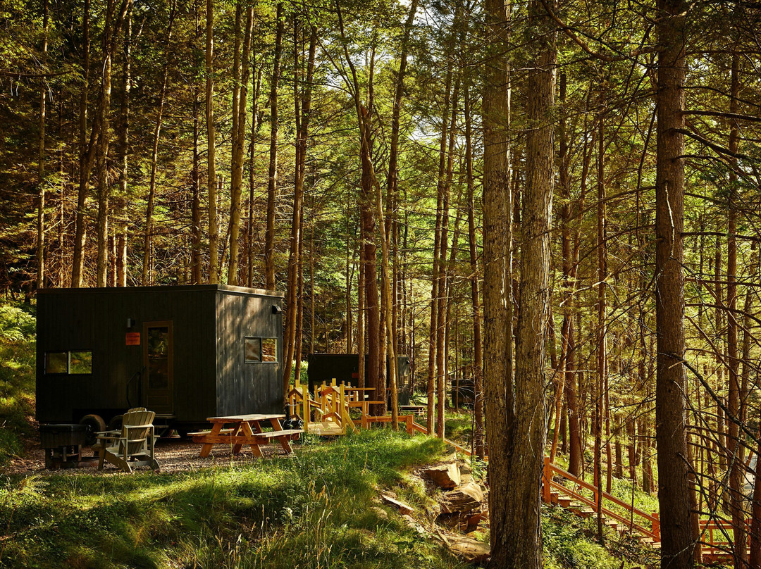 Postcard Cabins Eastern Catskills, Outdoor Collection by Marriott Bonvoy