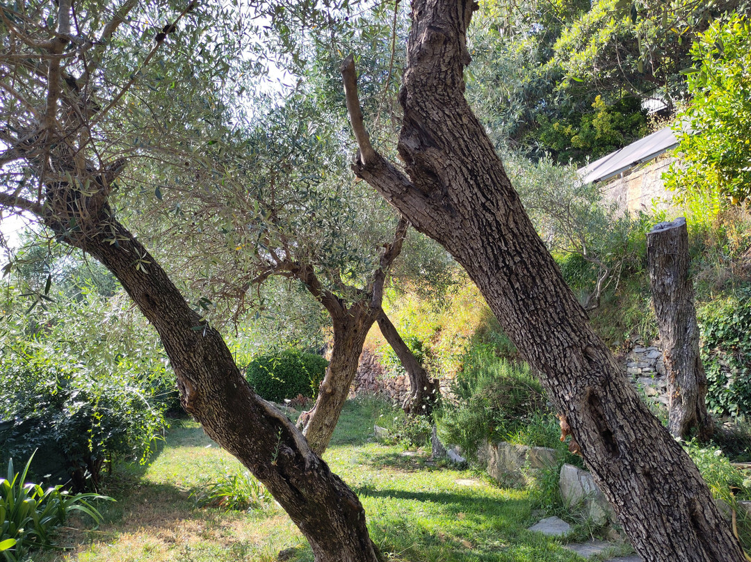 Hotel Mediterraneo主图