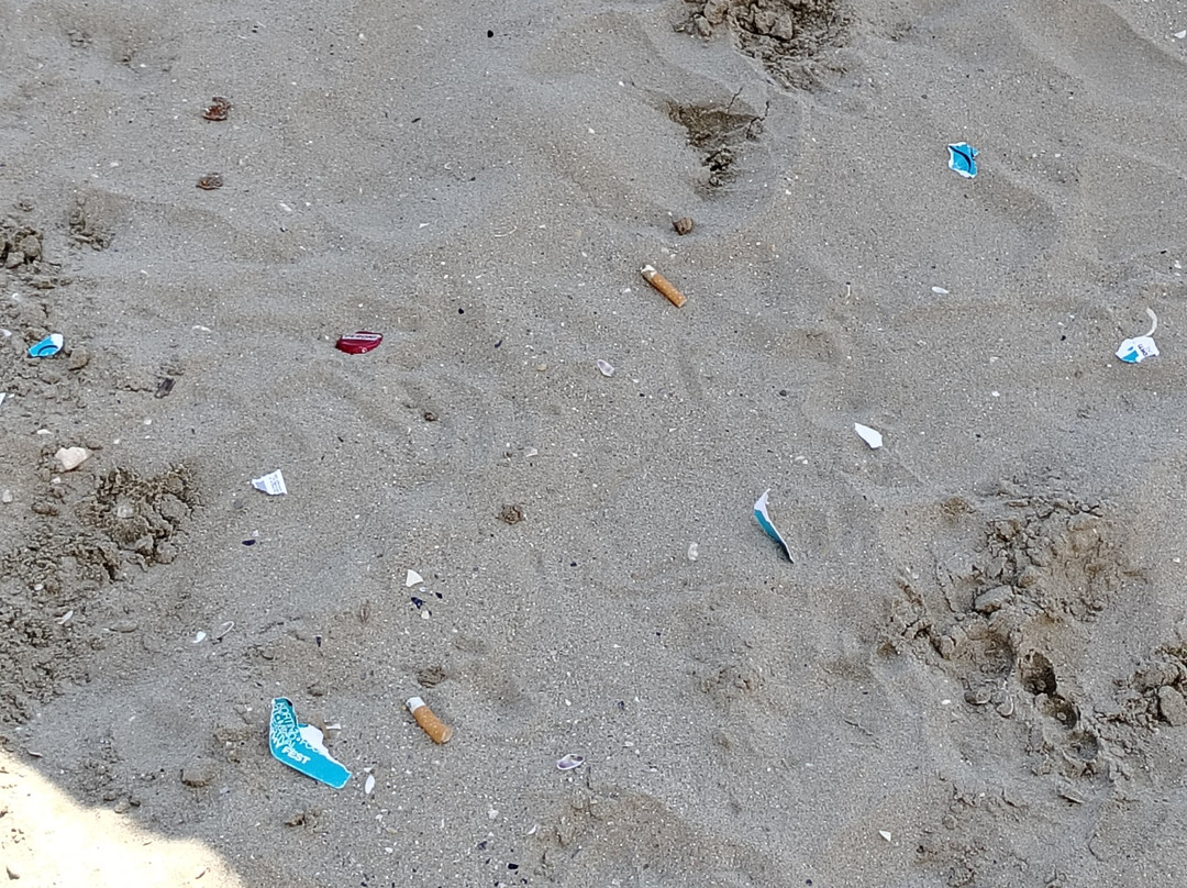 Hotel La Perla主图