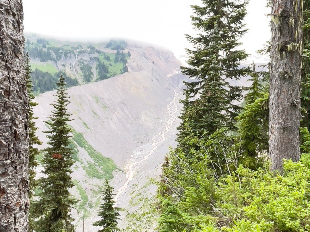 Nisqually Vista Loop-雷尼尔山国家公园必去景点