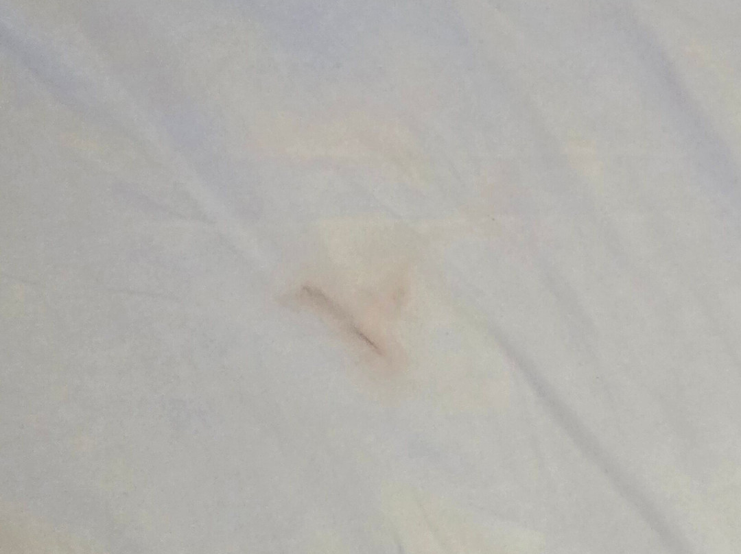 Best Western Gateway Grand主图