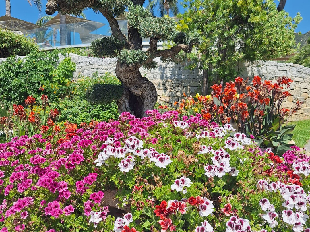 Piscine Cruccùris Resort di Villasimius-维拉西谬斯必去景点