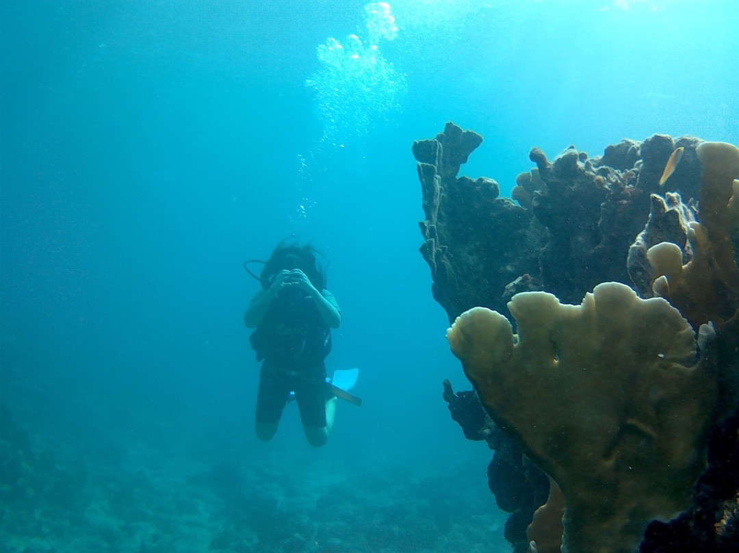 UnderwaterCuba-巴拉德罗必去景点