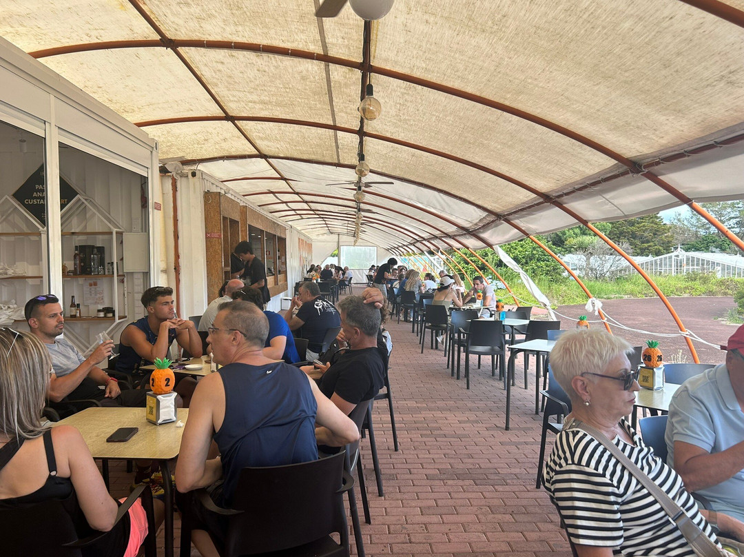 Plantação de Ananás dos Açores-蓬塔德尔加达必去景点