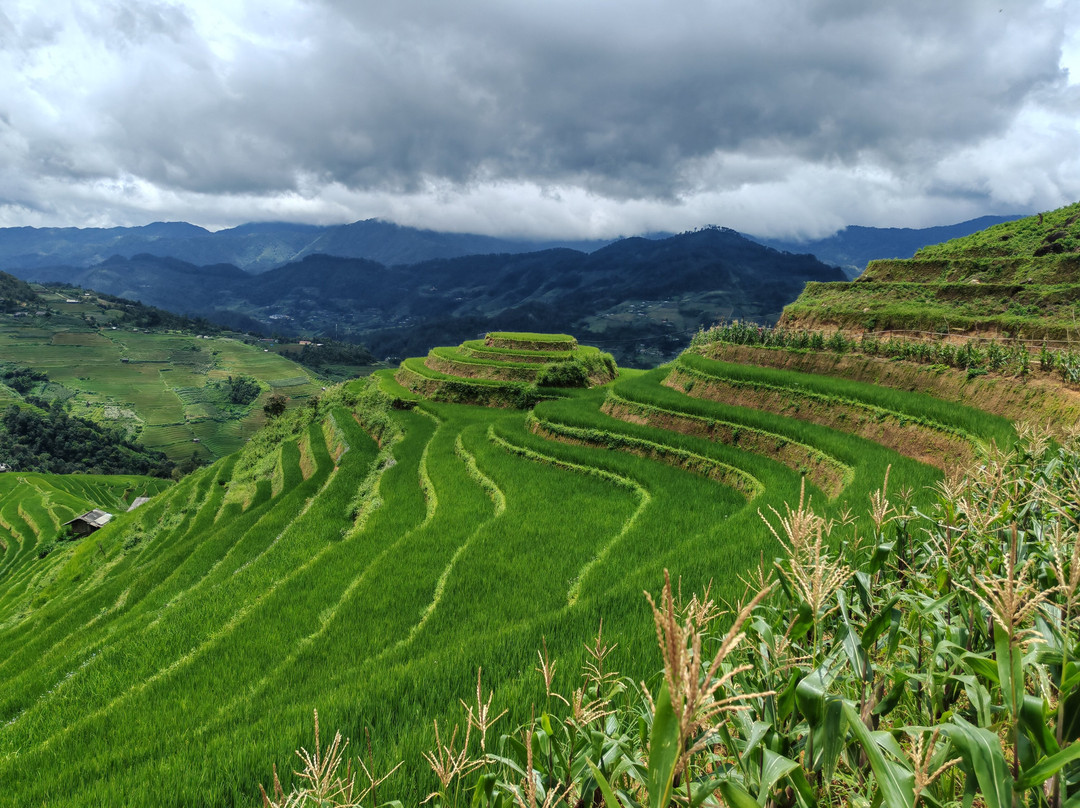 Indigenous Adventure-Mu Cang Chai必去景点