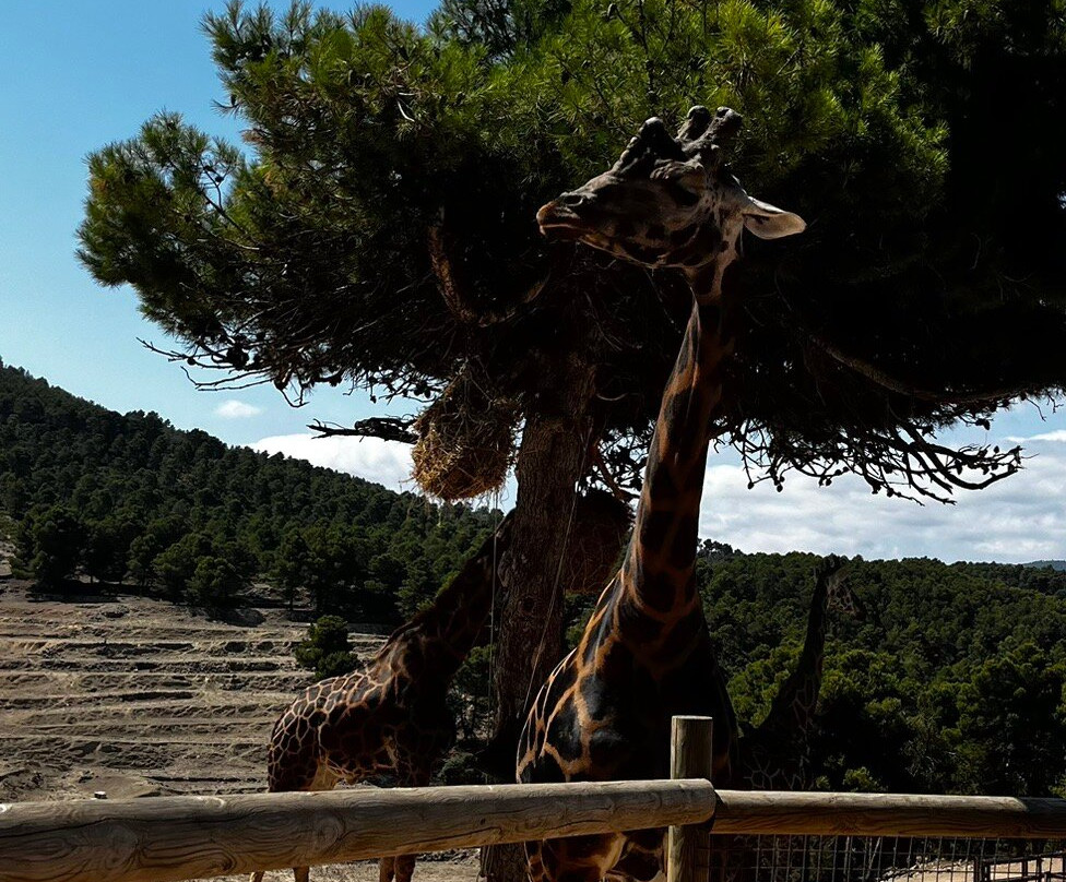 Safari Aitana-Penaguila必去景点