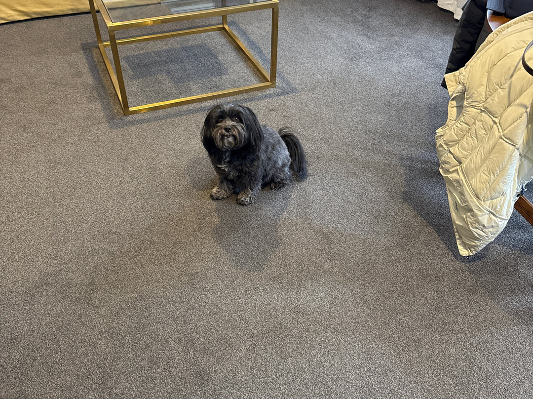 Hotel Montreal主图