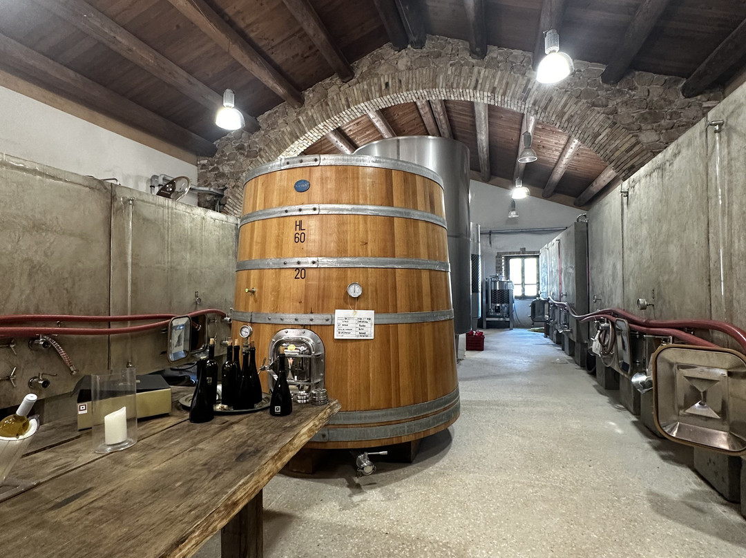 Cantine Nuraghe Antigori-Capoterra必去景点
