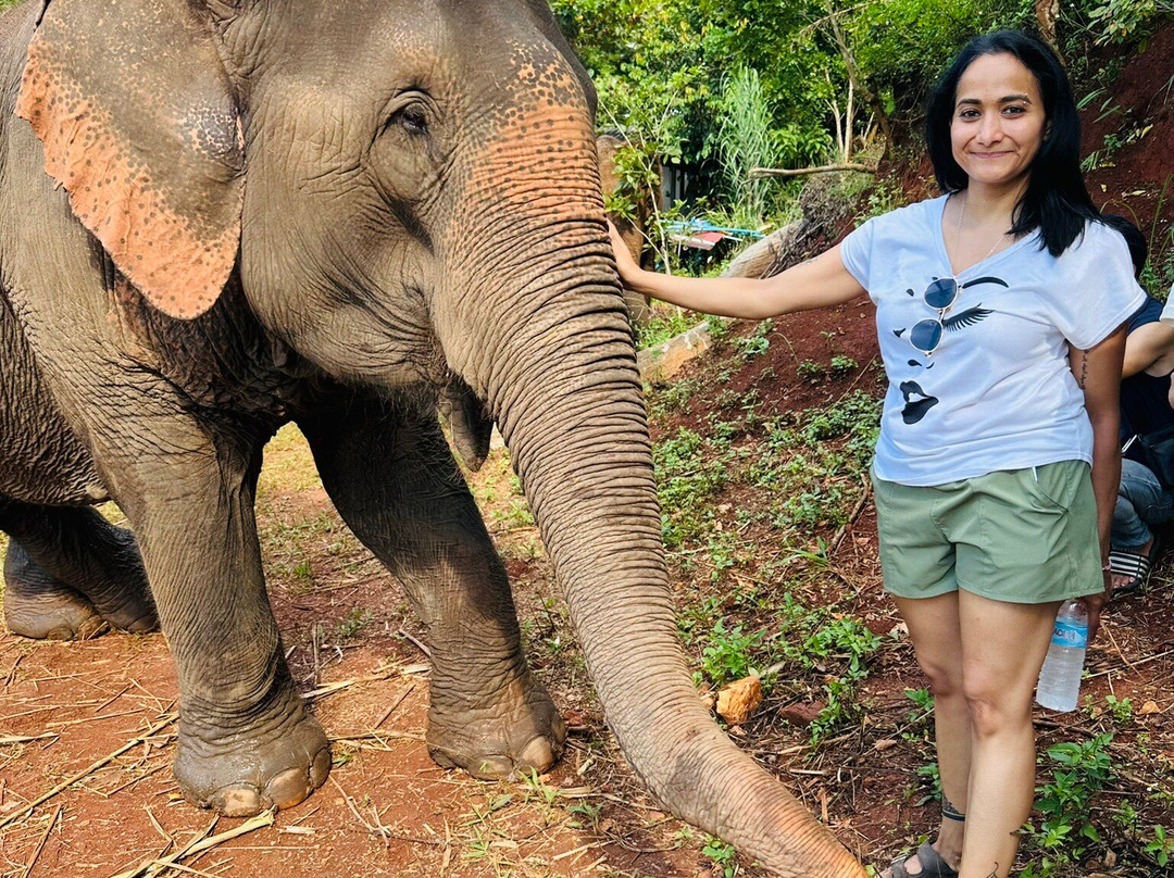 Elephant Sanctuary Care Park-清迈必去景点