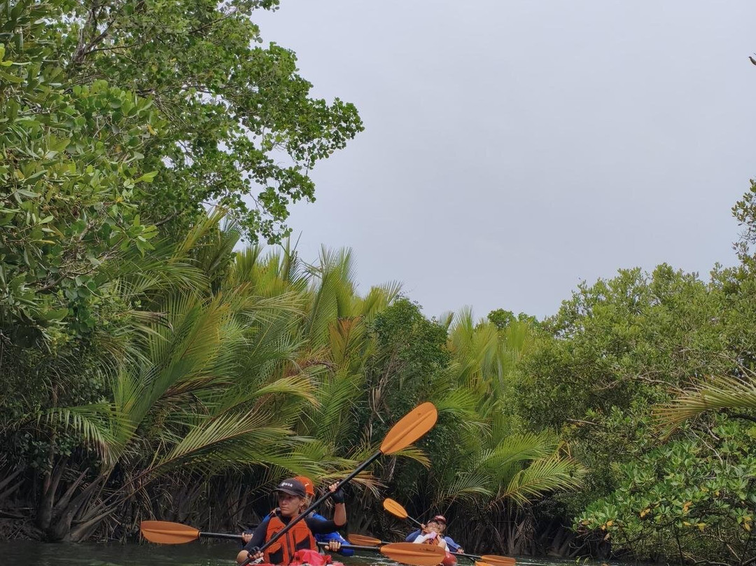 薄荷岛Kayakasia水上之旅-Maribojoc必去景点