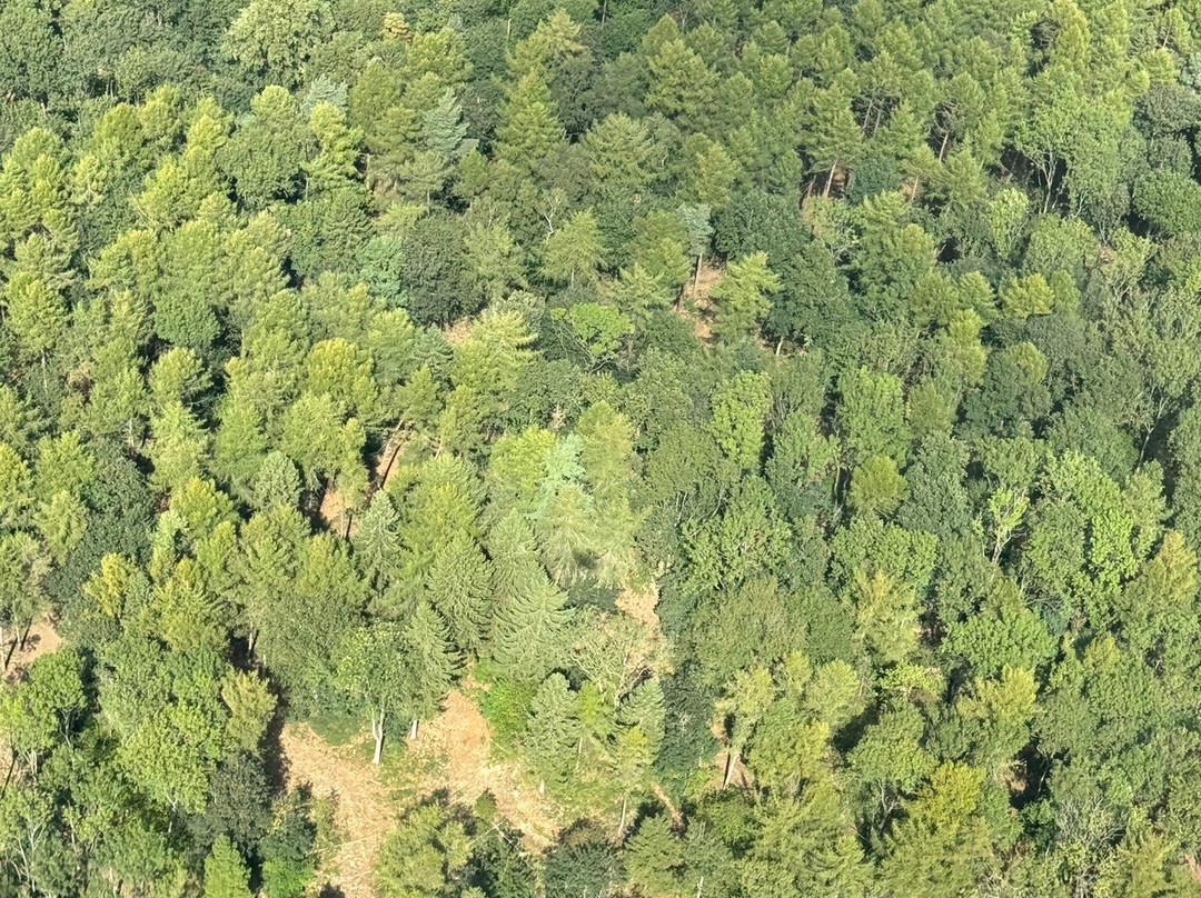 Hields Aviation-Sherburn in Elmet必去景点