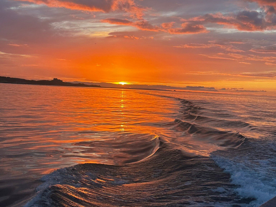 Holly Trees Bed and Breakfast主图