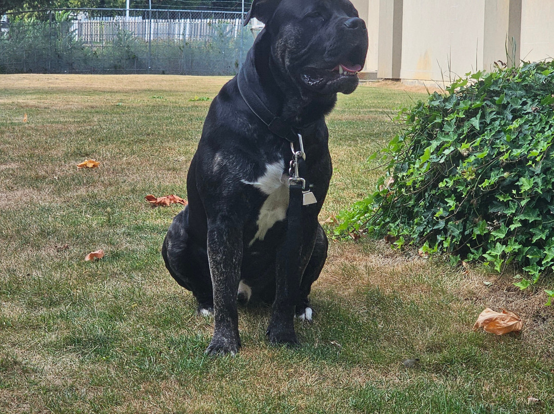 Super 8 by Wyndham Abbotsford BC主图