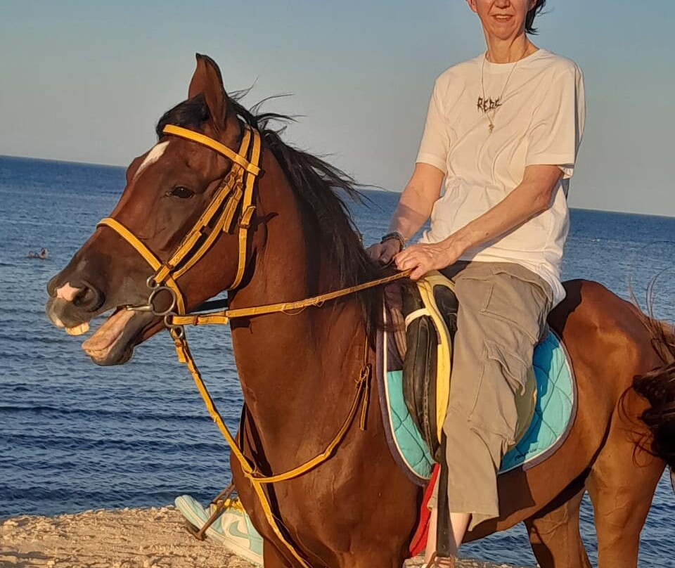 Horse Riding Hurghada-赫尔格达必去景点