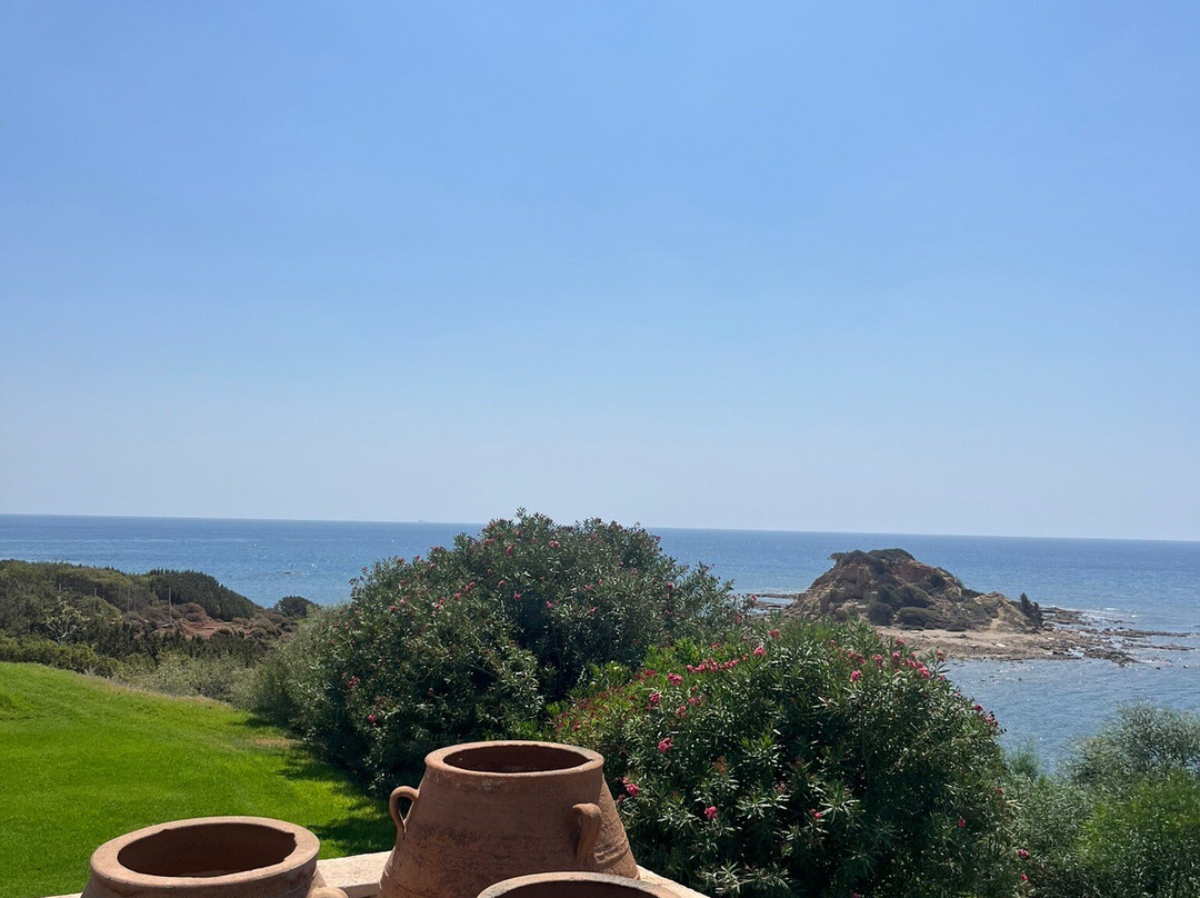 Al Mare Villas主图