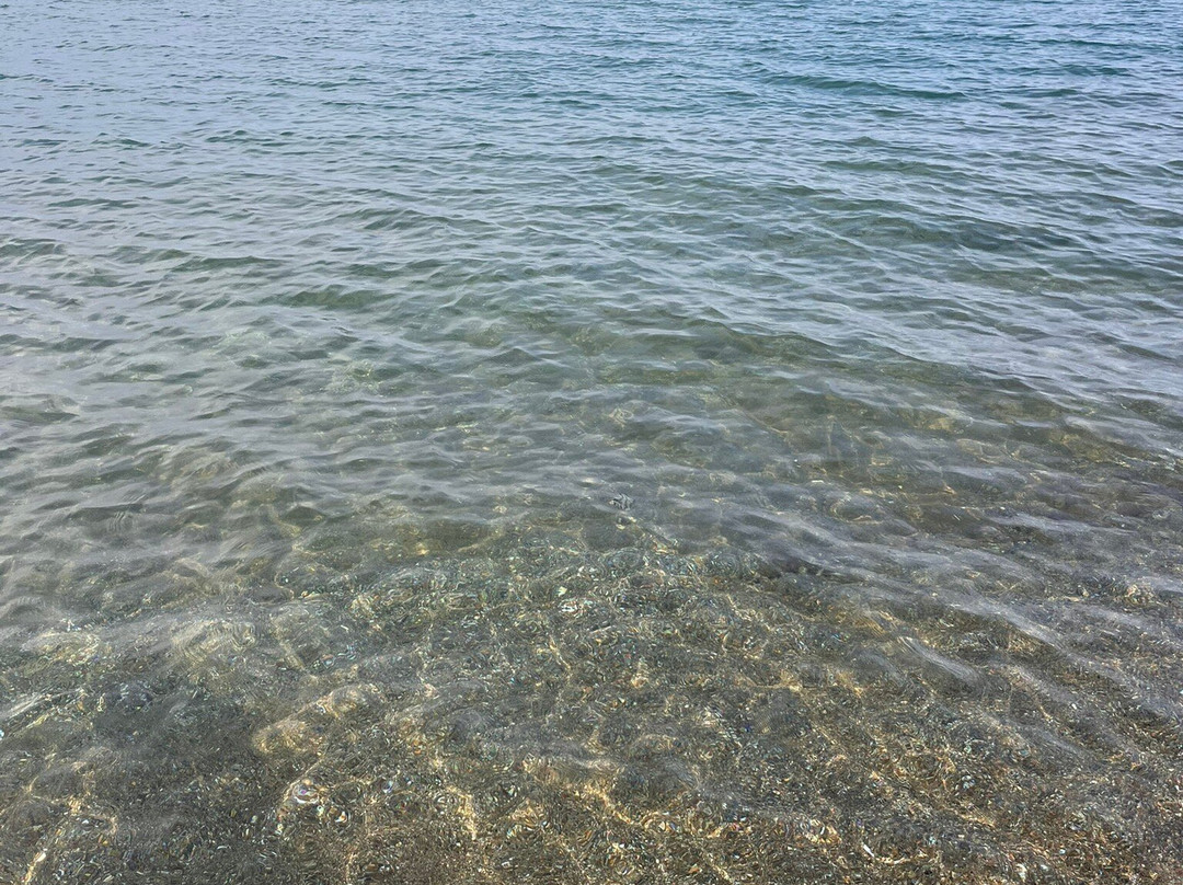 Rimigliano Coastal Park-圣温琴佐必去景点
