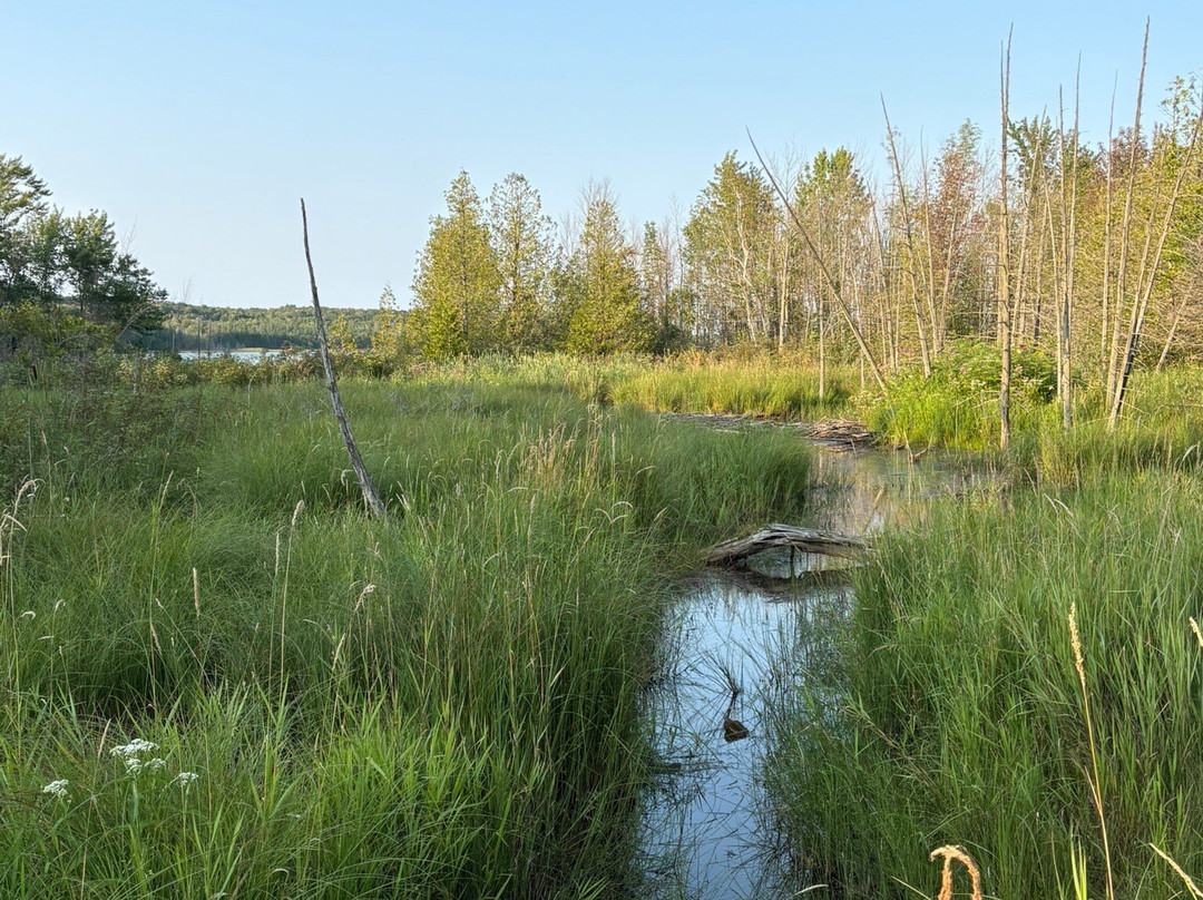 Cape Croker Park-Cape Croker必去景点