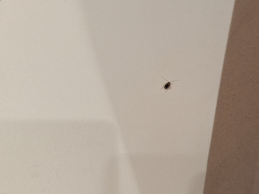 Extended Stay America - Washington, D.C. - Reston主图