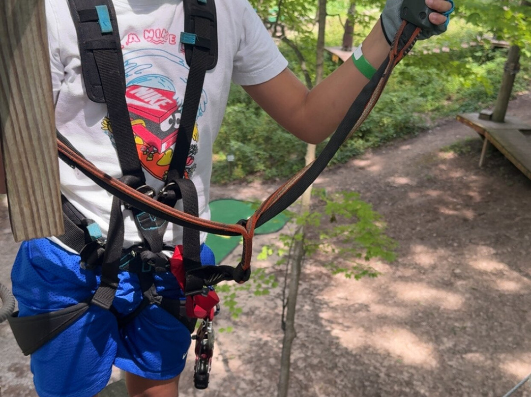 TreeRunner Grand Rapids Adventure Park-大急流市必去景点
