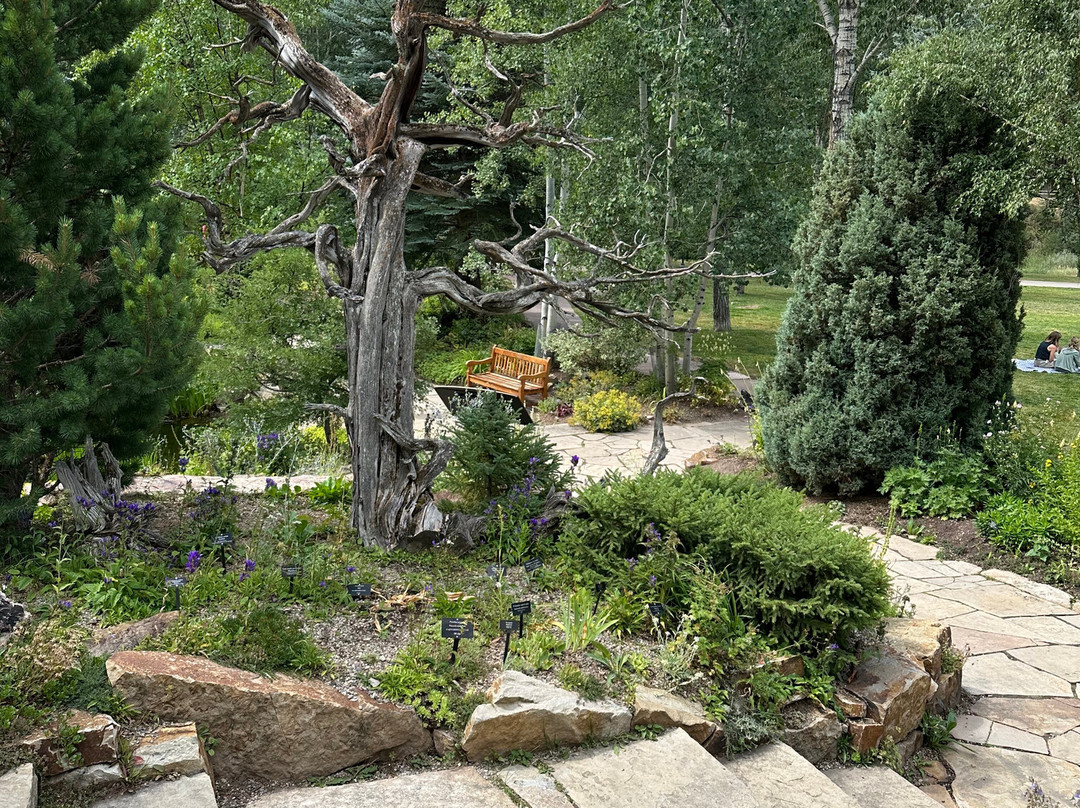 Betty Ford Alpine Gardens-韦尔必去景点