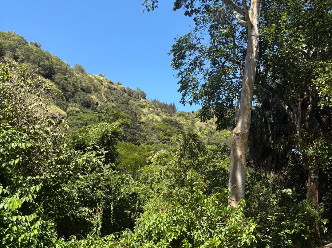 Waimea Falls-Pupukea必去景点