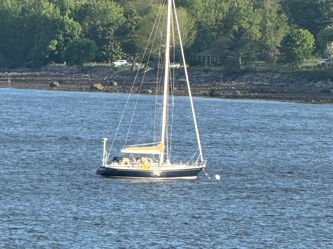 Belfast Harbor Inn主图