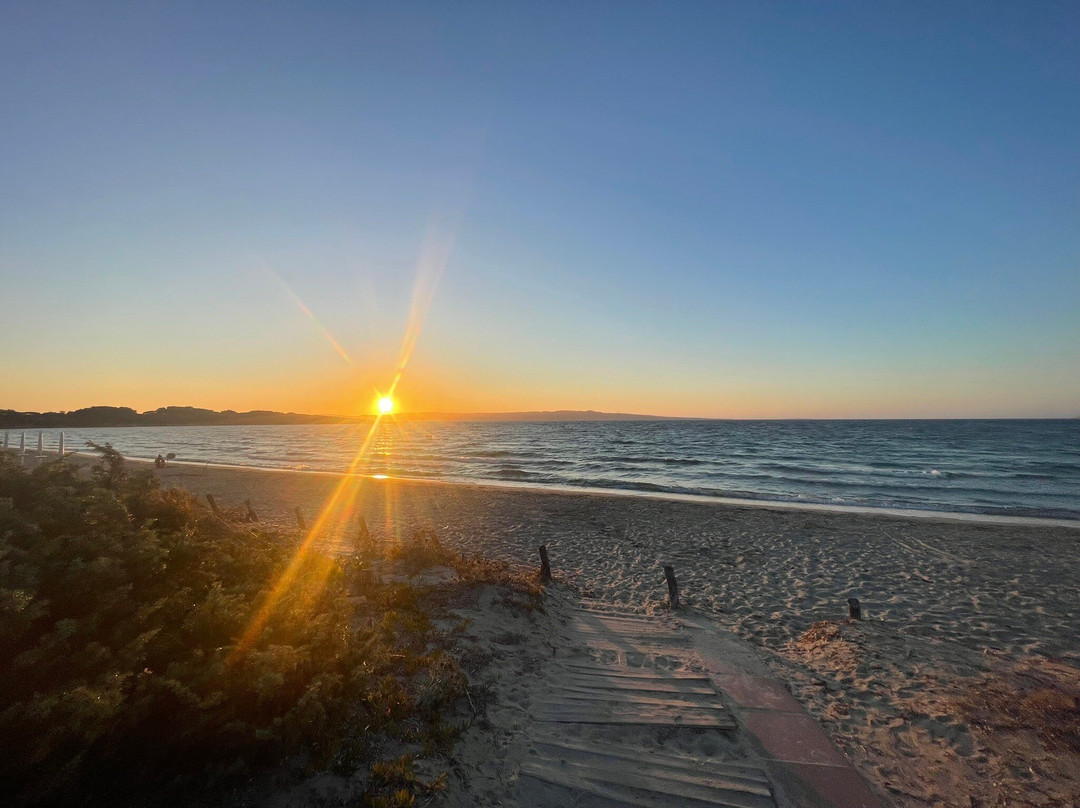 Spiaggia delle Saline-Calasetta必去景点