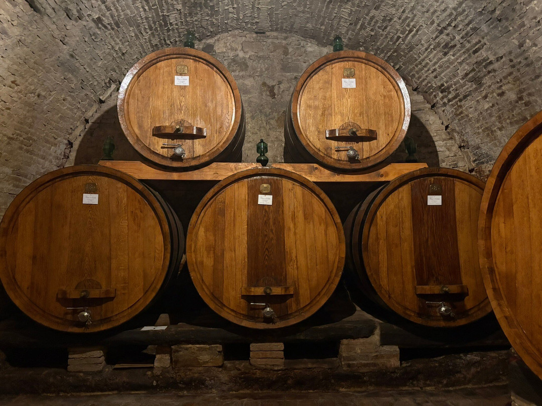 Contucci Cantine-蒙特普尔恰诺必去景点