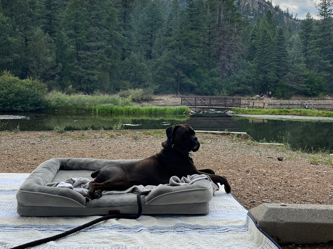 Cimarron Canyon State Park-Eagle Nest必去景点