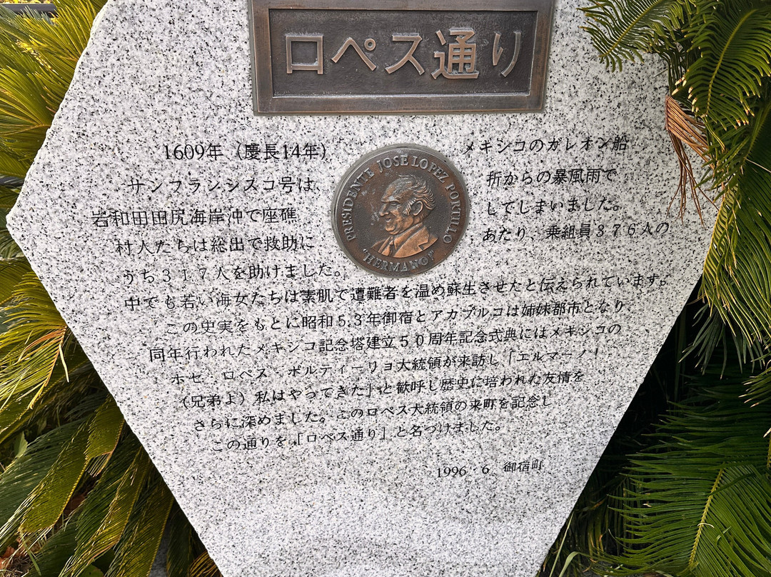 Onjuku Beach-御宿町必去景点