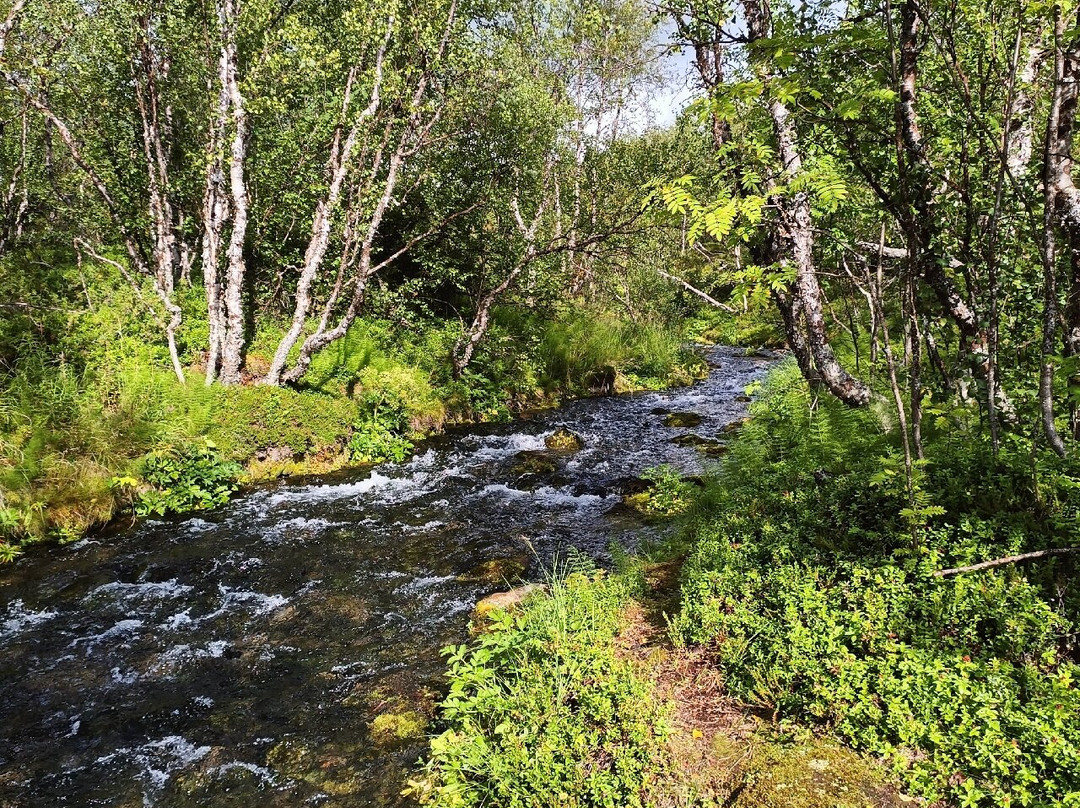 Sulaoja Luontopolku-Karigasniemi必去景点