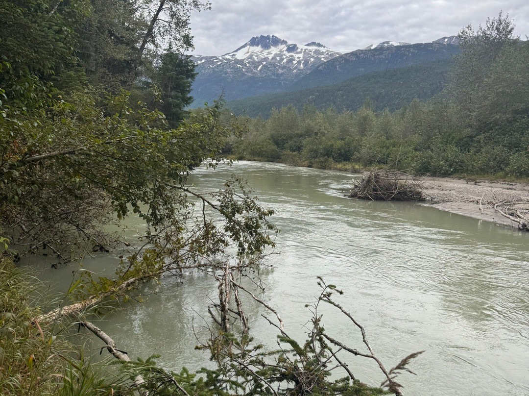 Alaska Mountain Guides Adventures & Chilkat Guides-史凯威必去景点