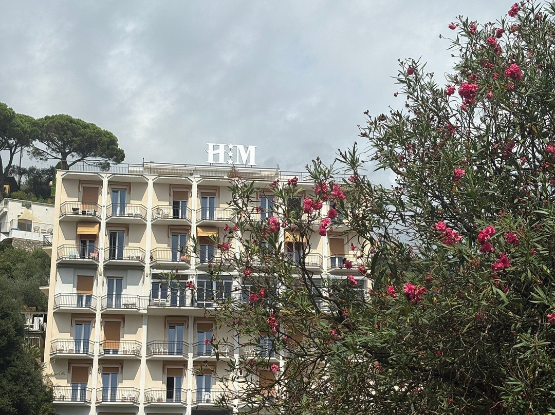 Hotel Mediterraneo主图