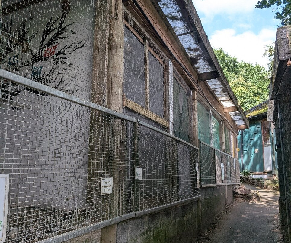 Festival Park Owl Sanctuary-Ebbw Vale必去景点