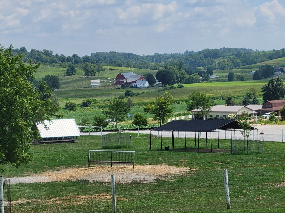 The Farm at Walnut Creek-Sugarcreek必去景点