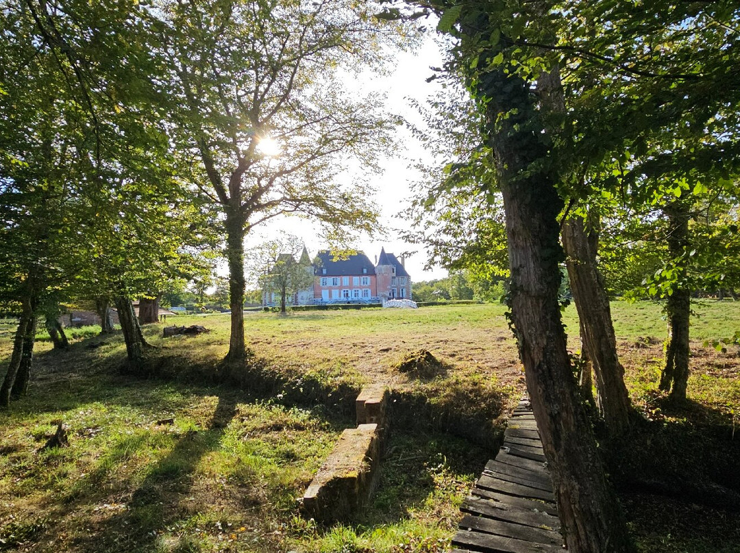 Chateau de Souesmes主图