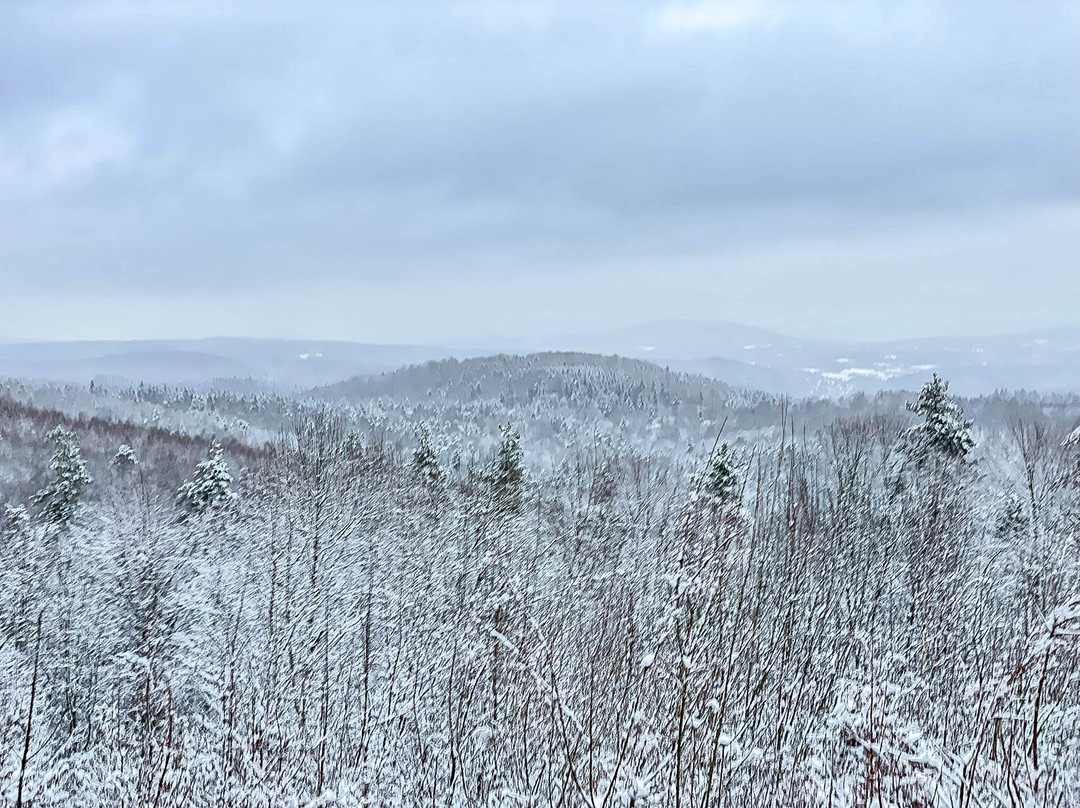 Punkt Widokowy Góry Słonne-Zaluz必去景点