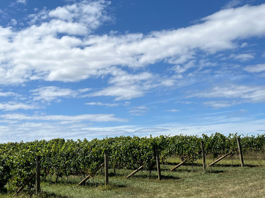 Spring Vale Wines-Cranbrook必去景点