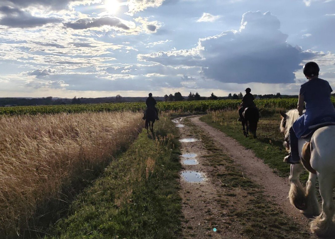 Horse Journey-Saint-Martin-le-Beau必去景点